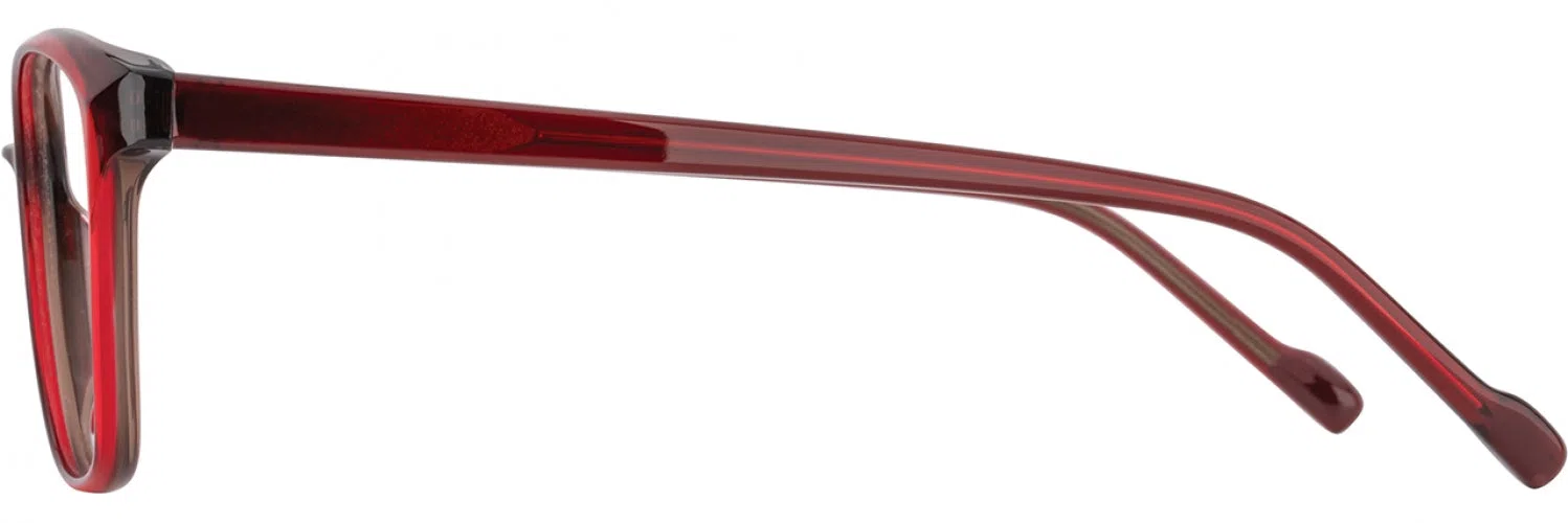 Scott Harris SH964 Eyeglasses - view 11